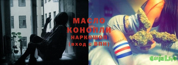 сатива Новодвинск