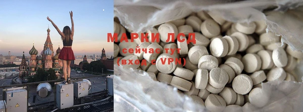 сатива Новодвинск