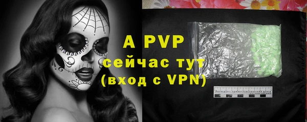 сатива Новодвинск
