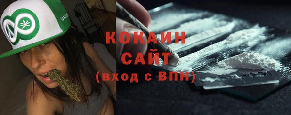 сатива Новодвинск
