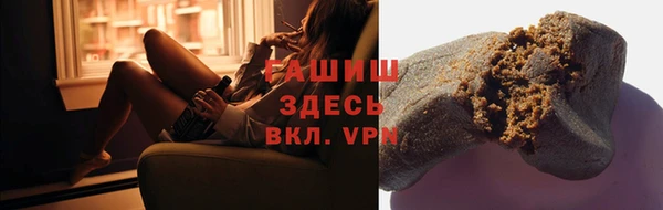 сатива Новодвинск