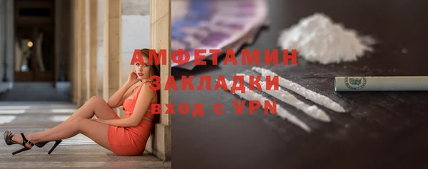 сатива Новодвинск