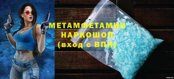 сатива Новодвинск