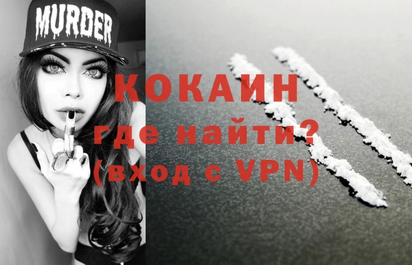 сатива Новодвинск