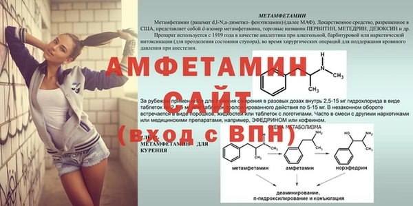 сатива Новодвинск