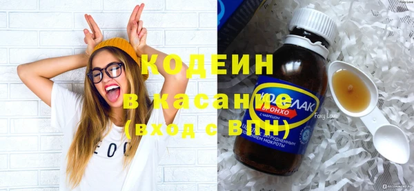 сатива Новодвинск