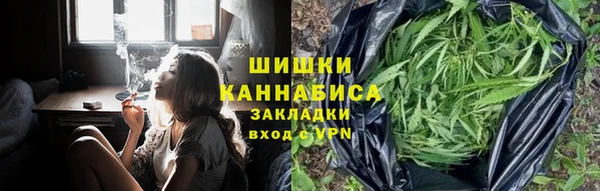 ALPHA PVP Новозыбков